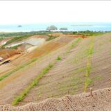 Coir Geotextiles Coir Geotextiles